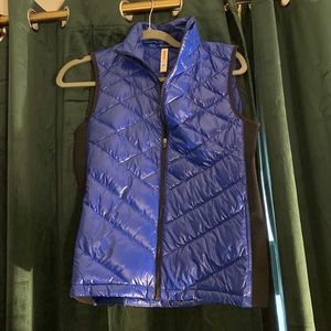 Blue and black lightweight puffer vest. Haven’t seen in public before.